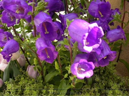 DSCN4915.JPG