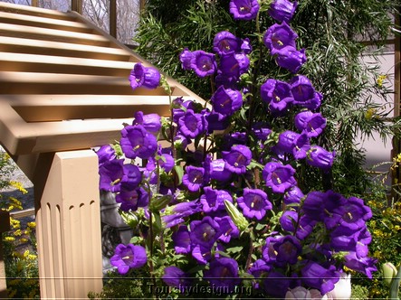 DSCN4917.JPG
