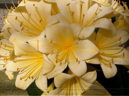 DSCN4920.JPG