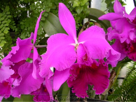 DSCN4926.JPG