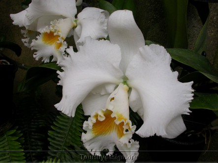 DSCN4928.JPG