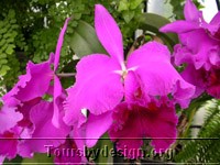 Pic Page Photo.jpg