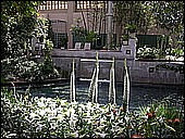 DSCN4913.JPG