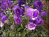 DSCN4915.JPG