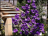 DSCN4917.JPG
