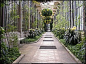 DSCN4919.JPG