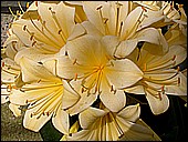 DSCN4920.JPG