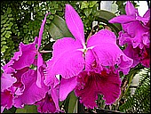 DSCN4926.JPG