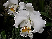 DSCN4928.JPG