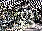 DSCN4932.JPG
