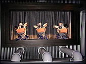 Our Tourguides, Talking Cows.JPG