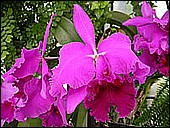 Pic Page Photo.jpg