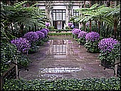Reflection Pond.JPG