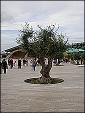 DSCN4377.JPG
