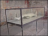 Remains after Volcano.JPG
